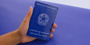 FGTS 2025: Consulte o Saldo, Faça Saques e Proteja seus Direitos p1 (20)_11zon