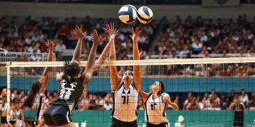 Conheça os times de vôlei mais promissores da temporada