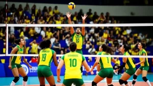 Desempenho das seleções brasileiras